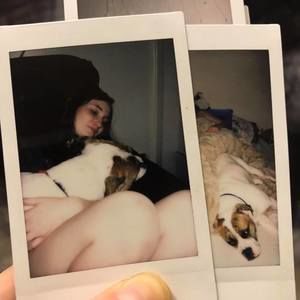 Meet your Posher, Autumn